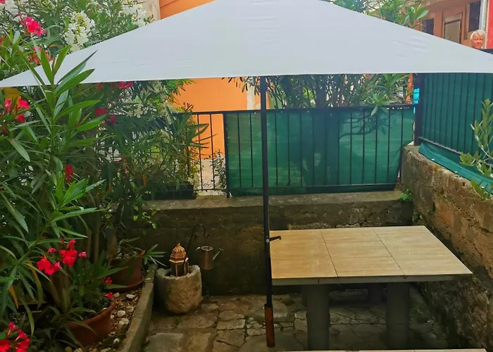 Hinterreiter ロヴィニ