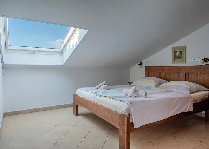 Hinterreiter * ロヴィニ